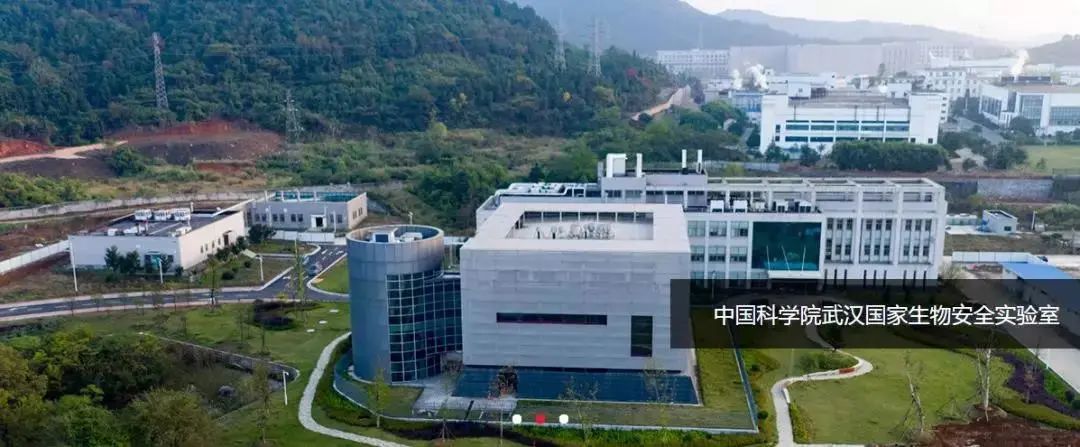 1634192642152892.jpg 生物安全實驗室.jpg