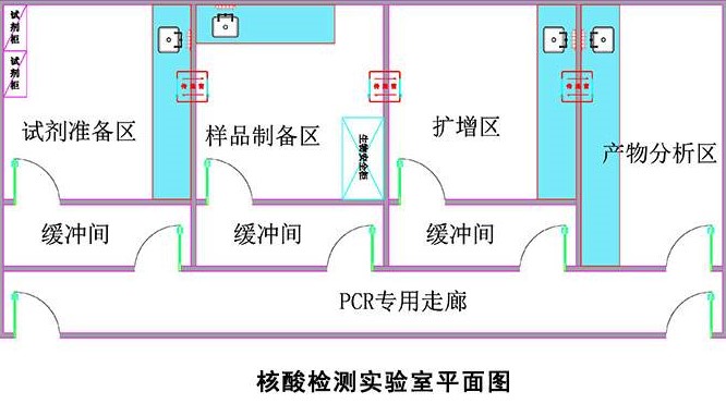 PCR實(shí)驗(yàn)室平面設(shè)計(jì)